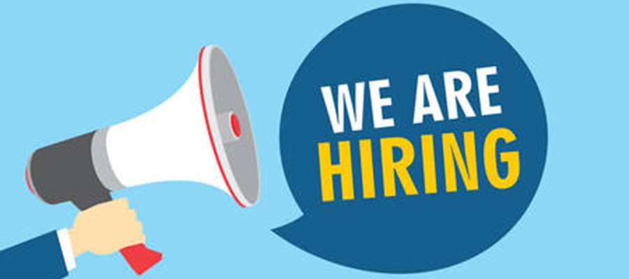 Job Vacancy - CEO